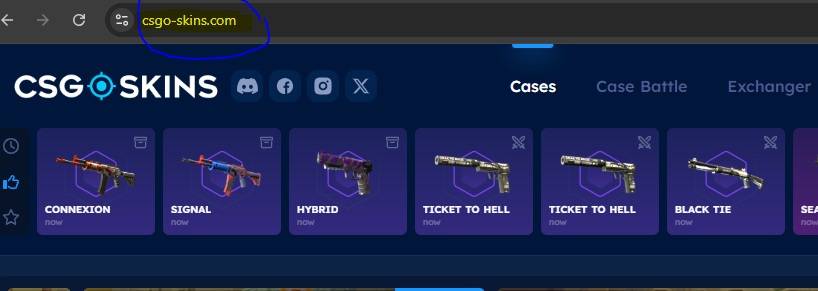 Visit the official CSGO Skins website