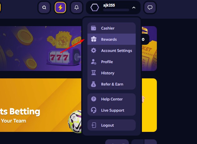 Roobet bonus