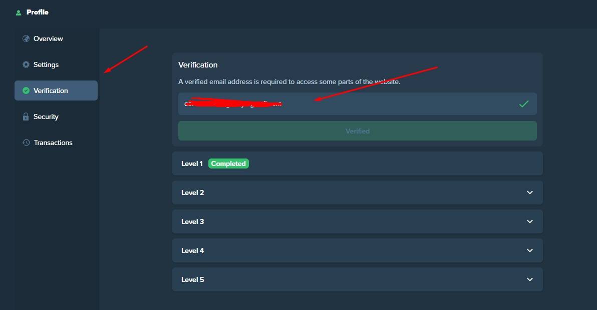 click on the verification tab