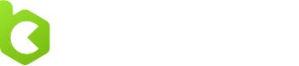 bcgame logo