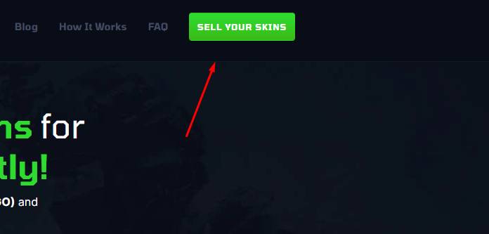 Go to the SkinCashier Website