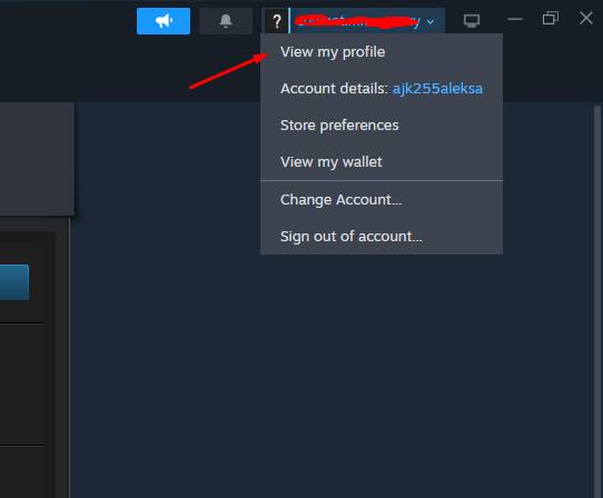 click on view my profile