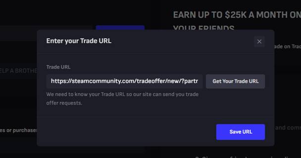 Add your Steam trade URL
