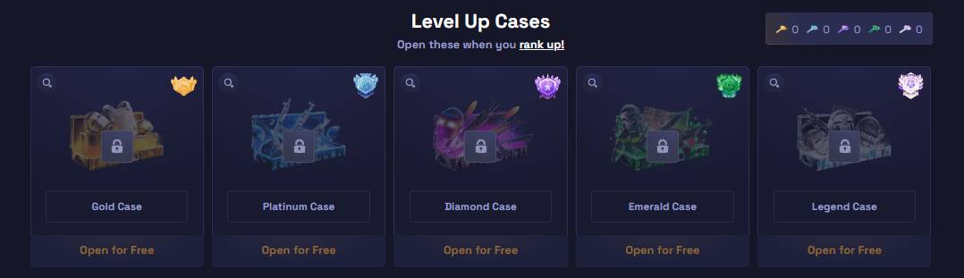 Level-Up Cases