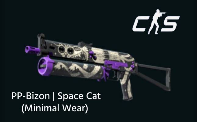 pp-bizon space cat skin
