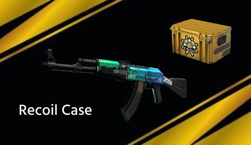 recoil case