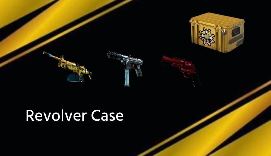 revolver cases