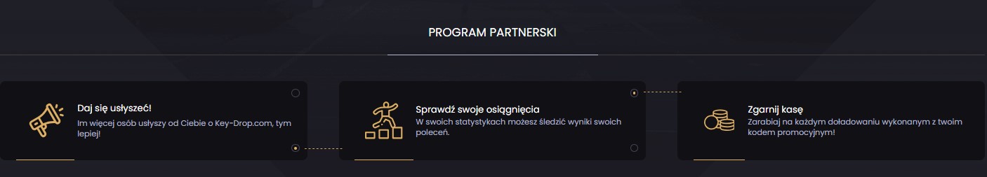 program partnerski