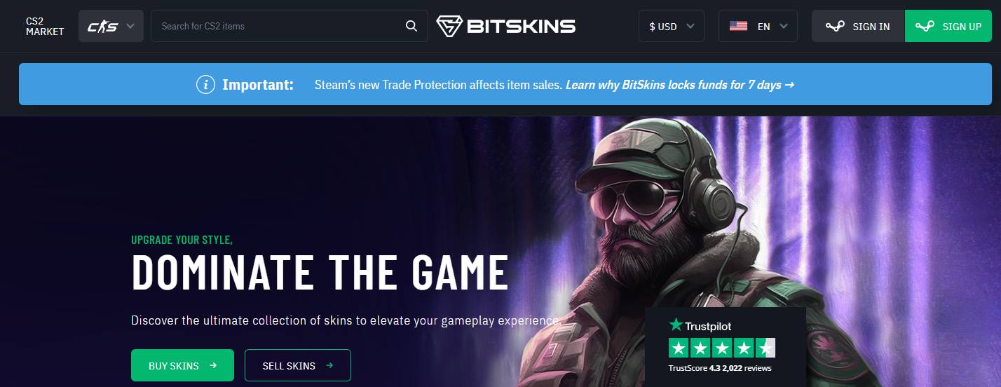 BitSkins site