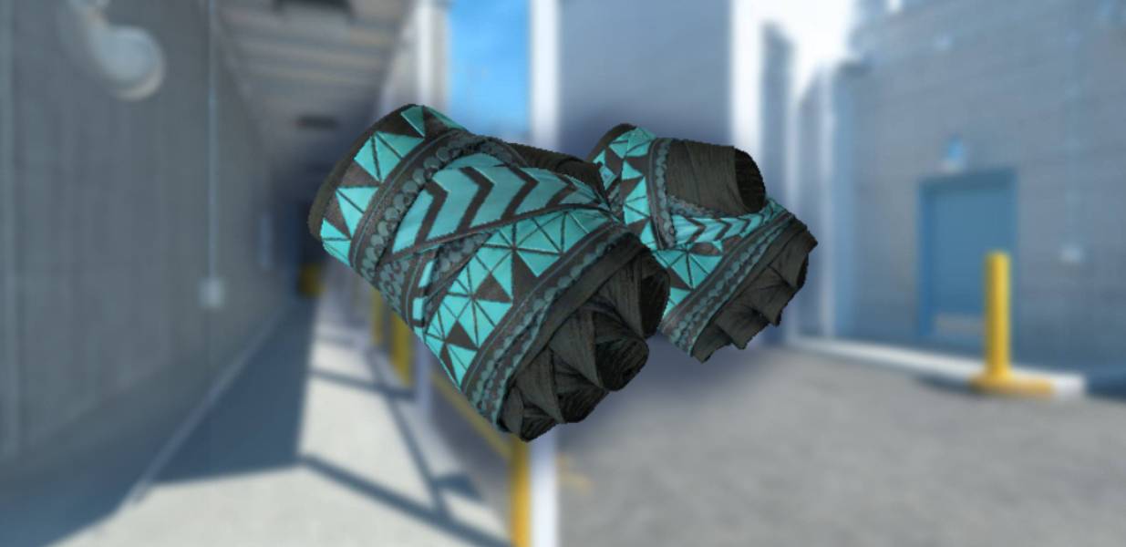 Hand Wraps | Overprint