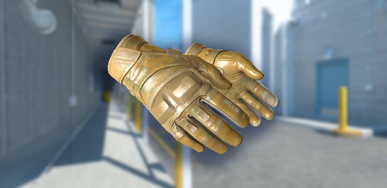 Moto Gloves Transport