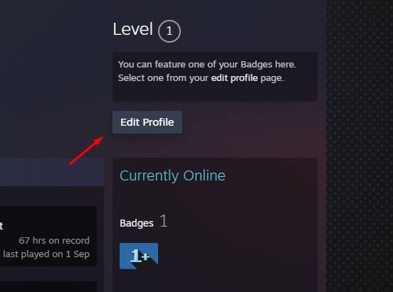 Make your Steam inventory public
