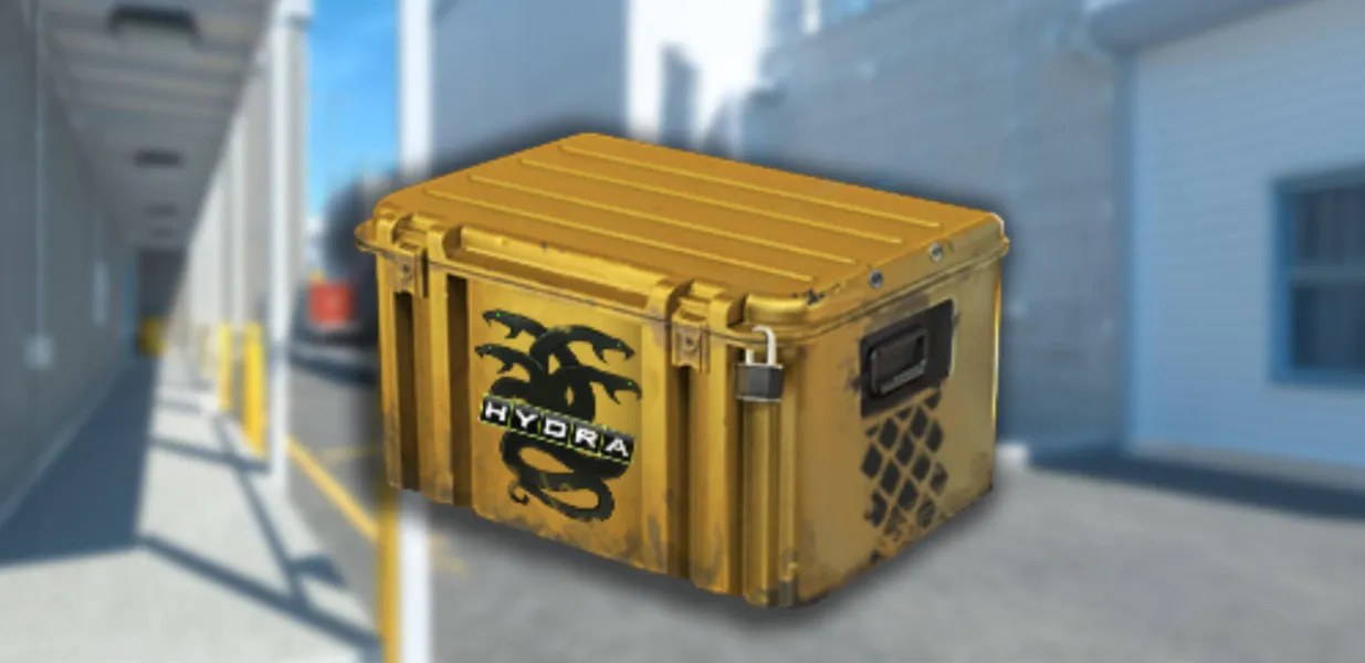 Operation Hydra Case